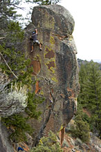feature photo